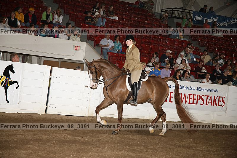 Proof buckeye_08_3091