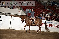 buckeye_08_3094 proof
