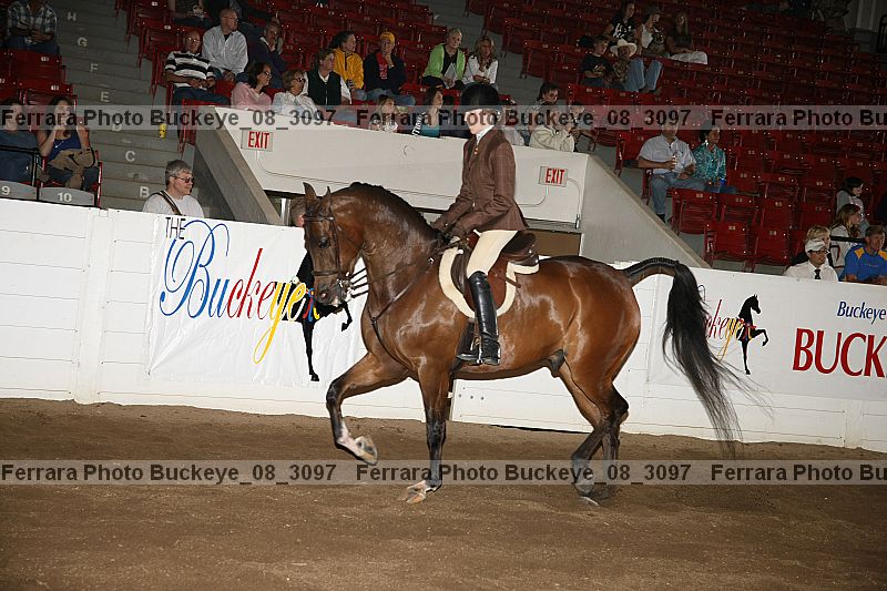 Proof buckeye_08_3097