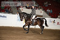 buckeye_08_3098 proof