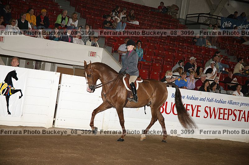 Proof buckeye_08_3099
