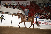 buckeye_08_3099 proof