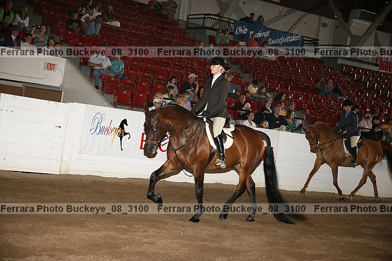 Proof buckeye_08_3100