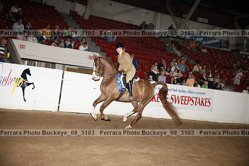 Proof buckeye_08_3103