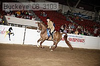 buckeye_08_3103 proof