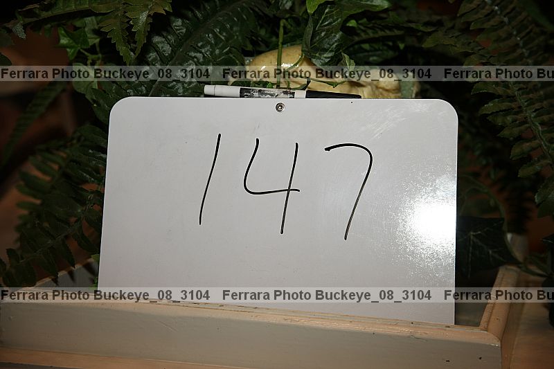 Proof buckeye_08_3104
