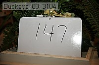 buckeye_08_3104 proof