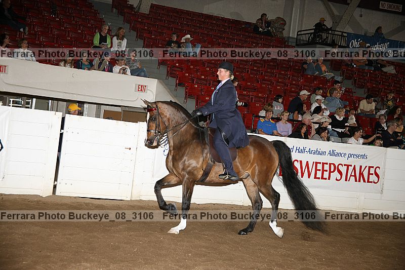Proof buckeye_08_3106