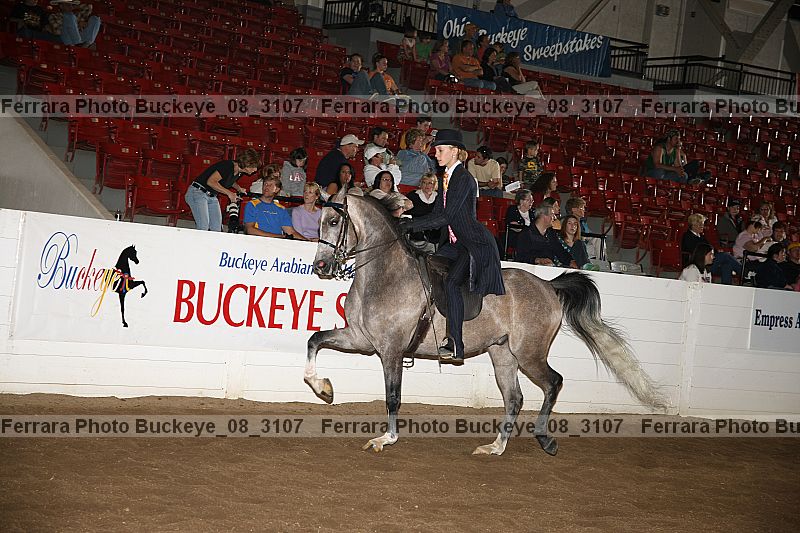 Proof buckeye_08_3107