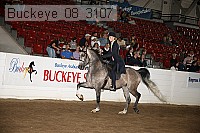 buckeye_08_3107 proof