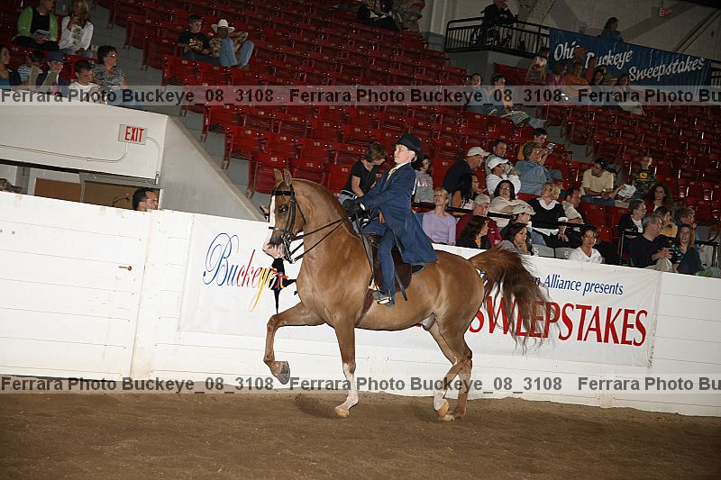 Proof buckeye_08_3108