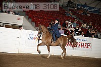buckeye_08_3108 proof