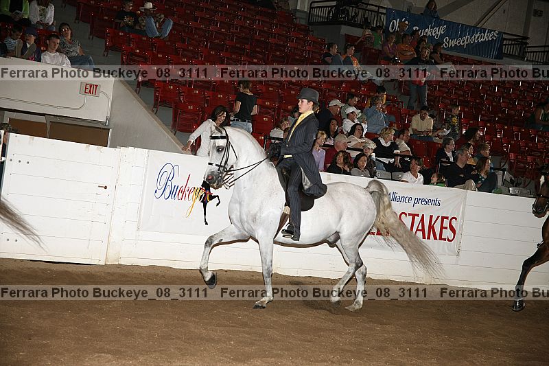 Proof buckeye_08_3111