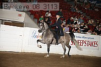 buckeye_08_3113 proof