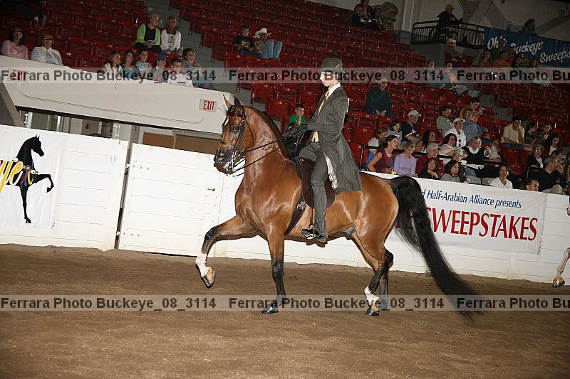 Proof buckeye_08_3114
