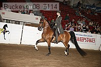 buckeye_08_3114 proof