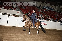 buckeye_08_3115 proof