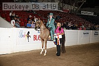 buckeye_08_3119 proof