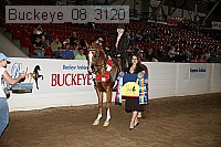 buckeye_08_3120 proof
