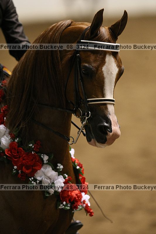 Proof buckeye_08_3124