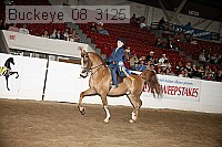 buckeye_08_3125 proof