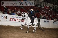 buckeye_08_3132 proof