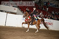 buckeye_08_3140 proof