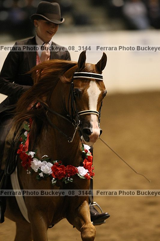 Proof buckeye_08_3144