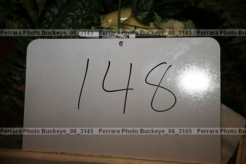 Proof buckeye_08_3145