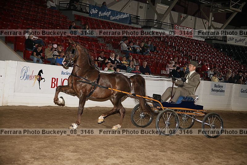 Proof buckeye_08_3146