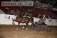 buckeye_08_3146 proof