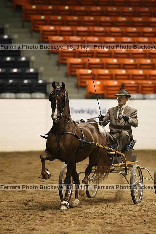 Proof buckeye_08_3147