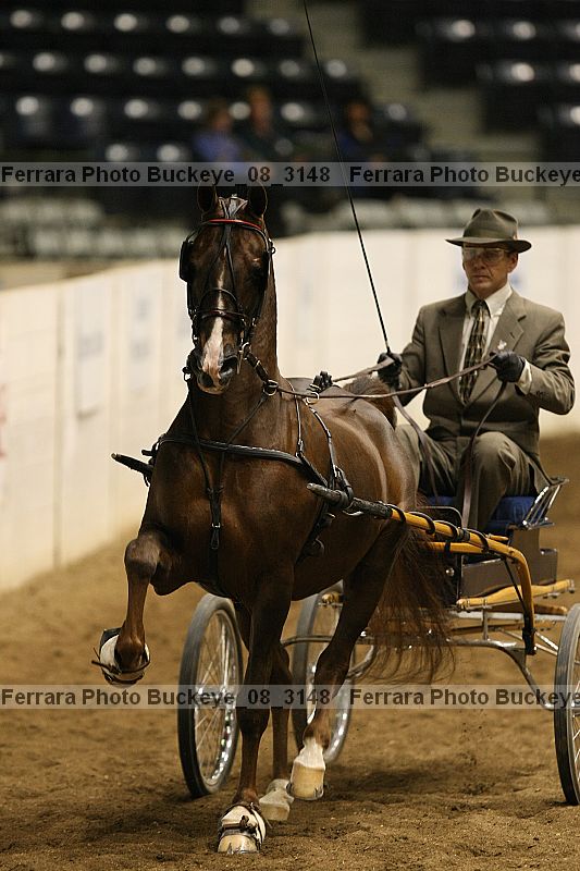 Proof buckeye_08_3148