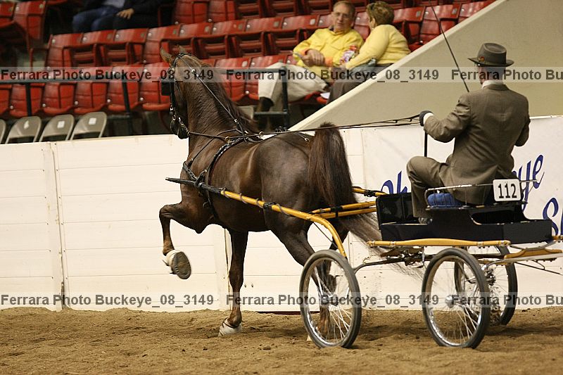 Proof buckeye_08_3149
