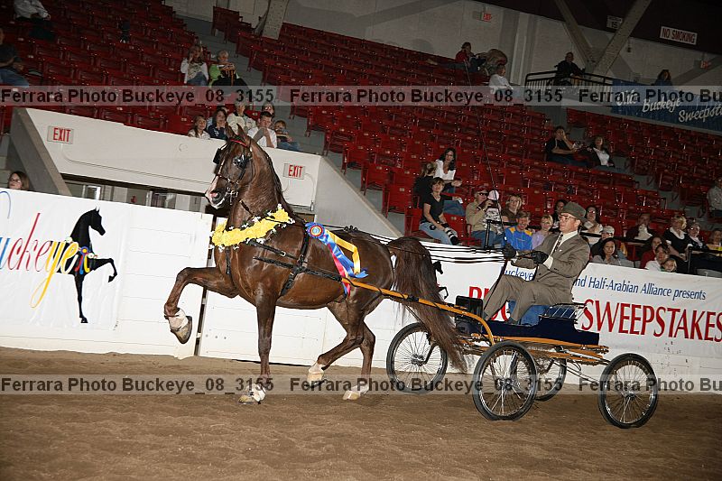 Proof buckeye_08_3155