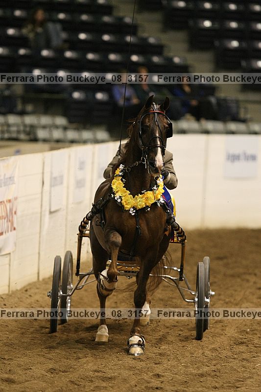 Proof buckeye_08_3157