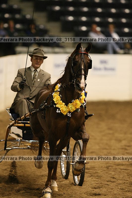 Proof buckeye_08_3158