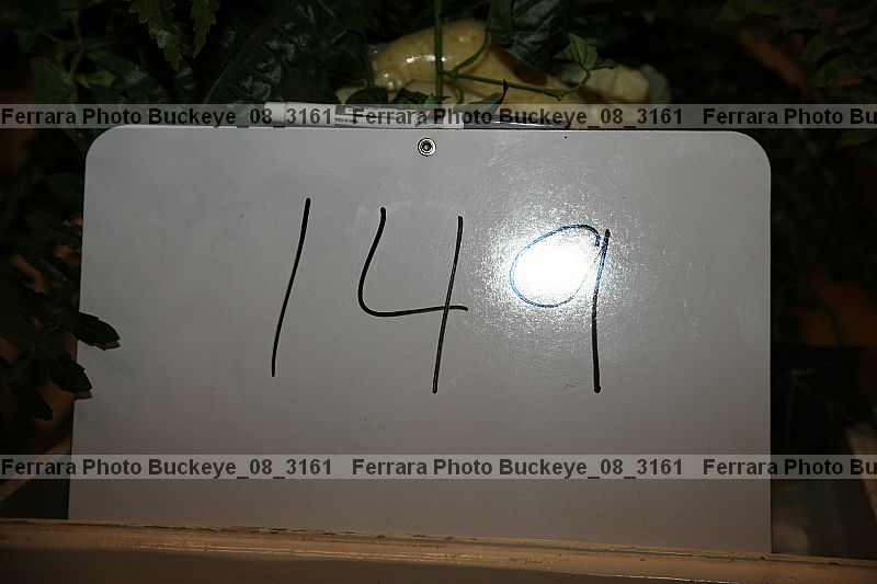 Proof buckeye_08_3161