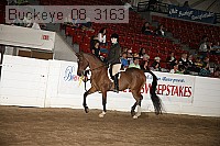 buckeye_08_3163 proof