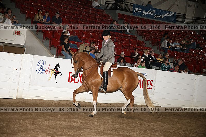 Proof buckeye_08_3166