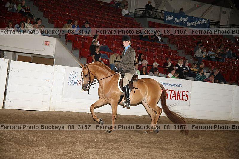 Proof buckeye_08_3167