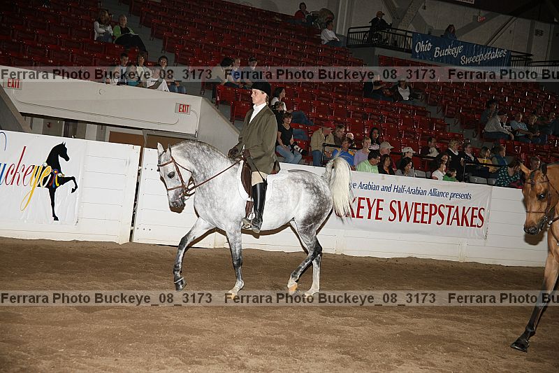 Proof buckeye_08_3173