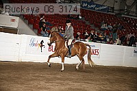 buckeye_08_3174 proof