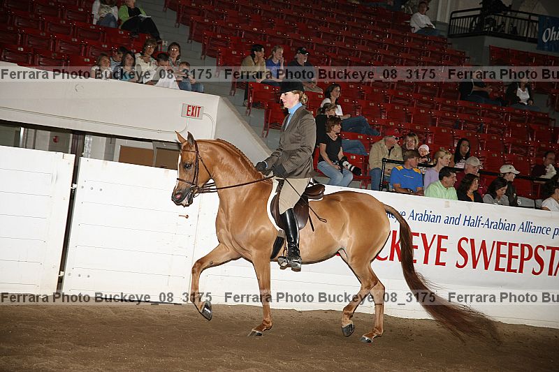 Proof buckeye_08_3175