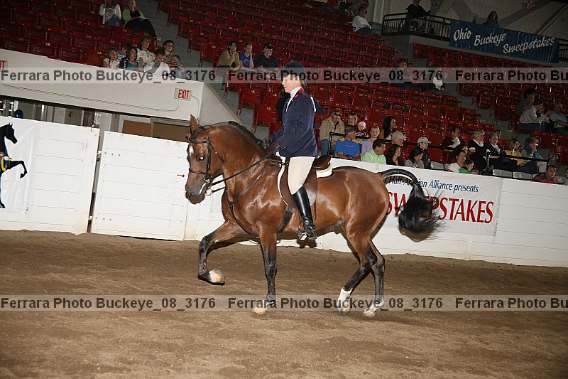 Proof buckeye_08_3176