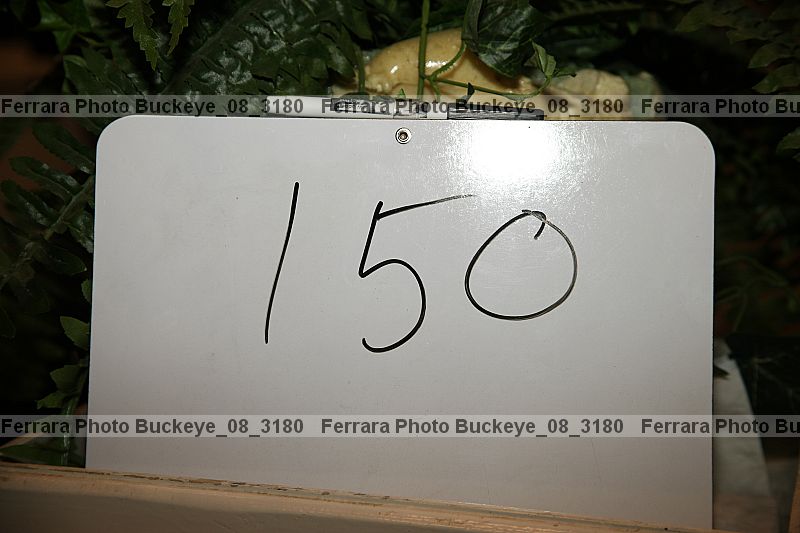 Proof buckeye_08_3180