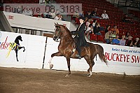 buckeye_08_3183 proof