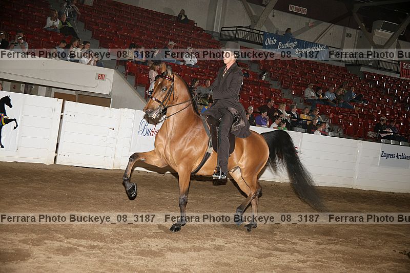 Proof buckeye_08_3187