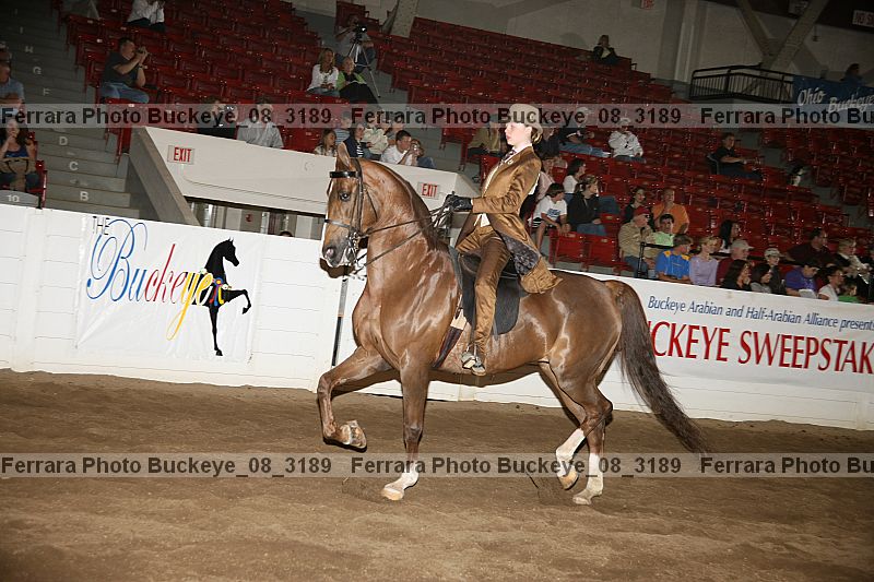 Proof buckeye_08_3189