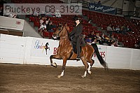buckeye_08_3192 proof